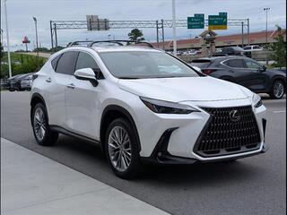 2025 Lexus NX 350 for sale in Chattanooga TN
