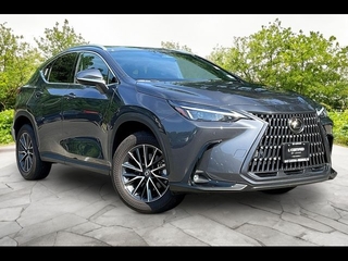2024 Lexus NX 350 for sale in Freehold NJ