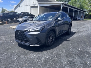 2024 Lexus NX 350 for sale in Allentown PA