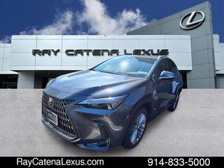 2025 Lexus NX 350 for sale in Larchmont NY