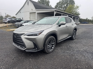 2025 Lexus NX 350 for sale in Allentown PA