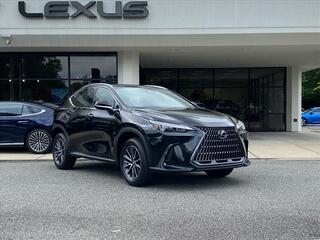 2025 Lexus NX 350 for sale in Virginia Beach VA