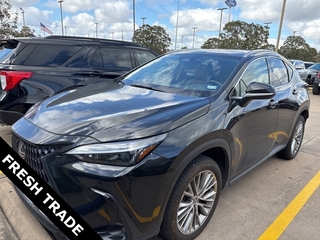2025 Lexus NX 350