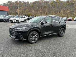 2025 Lexus NX 350 for sale in Kingsport TN