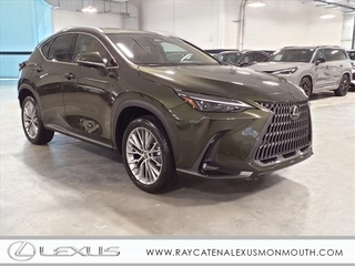 2025 Lexus NX 350 for sale in Oakhurst NJ