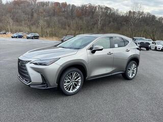 2025 Lexus NX 350