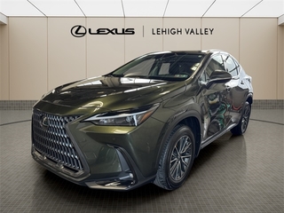 2025 Lexus NX 350 for sale in Allentown PA