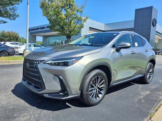 2025 Lexus NX 350 for sale in Brentwood TN