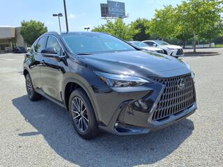 2025 Lexus NX 350 for sale in Nashville TN