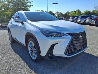 2025 Lexus NX 350 for sale in Nashville TN