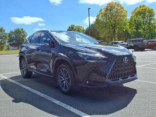 2026 Lexus NX 350 for sale in Durham NC