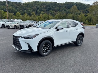 2026 Lexus NX 350