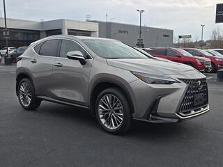 2026 Lexus NX 350 for sale in Brookfield WI