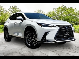 2026 Lexus NX 350 for sale in Freehold NJ