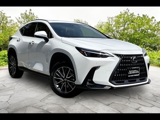 2026 Lexus NX 350 for sale in Freehold NJ