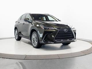 2026 Lexus NX 350 for sale in Schaumburg IL