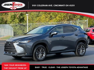 2022 Lexus NX 350 for sale in Cincinnati OH