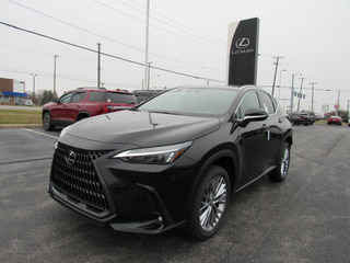 2023 Lexus NX 350 for sale in Toledo OH