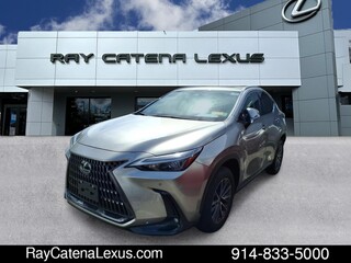 2023 Lexus NX 350 for sale in Larchmont NY