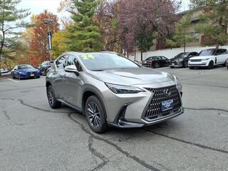 2024 Lexus NX 350 for sale in Little Falls NJ