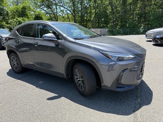 2024 Lexus NX 350