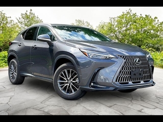2024 Lexus NX 350 for sale in Freehold NJ