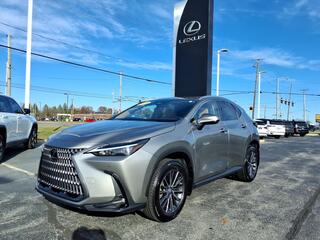 2024 Lexus NX 350 for sale in Toledo OH
