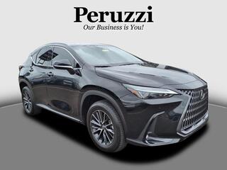 2024 Lexus NX 350