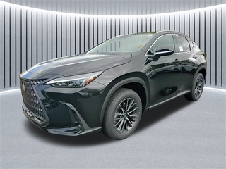 2025 Lexus NX 350 for sale in Schaumburg IL