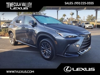 2025 Lexus NX 350 for sale in Temecula CA