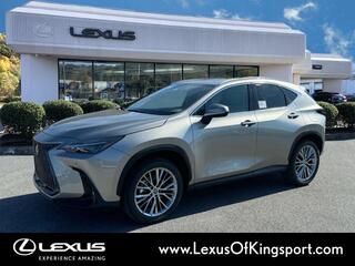 2025 Lexus NX 350