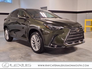 2025 Lexus NX 350