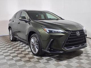 2025 Lexus NX 350