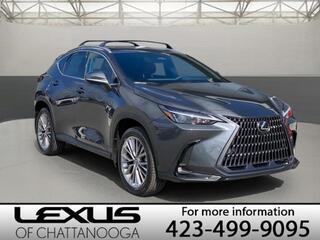 2025 Lexus NX 350 for sale in Chattanooga TN