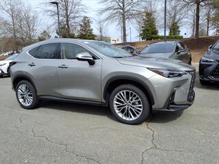 2025 Lexus NX 350 for sale in Durham NC