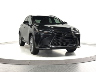2025 Lexus NX 350 for sale in Schaumburg IL
