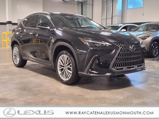 2025 Lexus NX 350