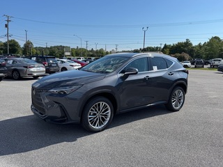 2025 Lexus NX 350 for sale in Kingsport TN
