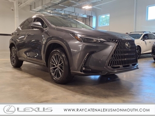 2025 Lexus NX 350 for sale in Oakhurst NJ