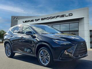 2026 Lexus NX 350 for sale in Brookfield WI