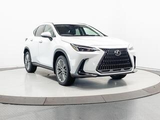 2026 Lexus NX 350 for sale in Schaumburg IL