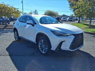2022 Lexus NX 350h for sale in Nashville TN