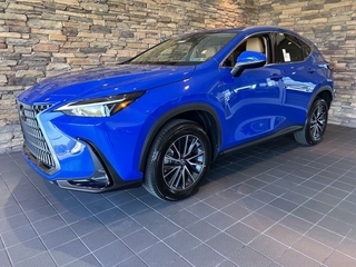 2025 Lexus NX 350h for sale in Allentown PA