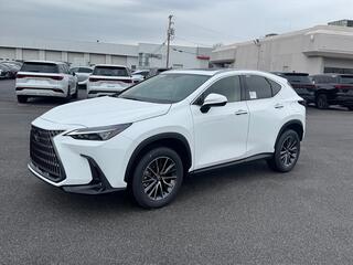 2026 Lexus NX 350h for sale in Kingsport TN