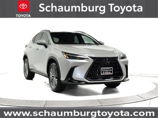 2022 Lexus NX 350h