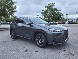 2024 Lexus NX 350h for sale in Nashville TN