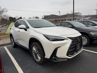 2025 Lexus NX 350h for sale in Greenville SC
