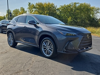 2025 Lexus NX 350h for sale in Brookfield WI