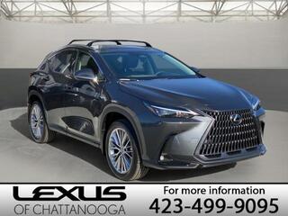 2025 Lexus NX 350h for sale in Chattanooga TN