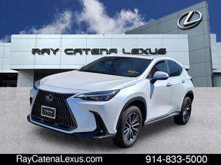 2022 Lexus NX 350h for sale in Larchmont NY